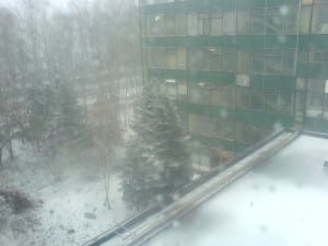 dsc00555_sm